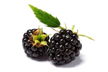 Böğürtlen Meyvesi Faydaları Nelerdir?