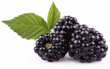 Böğürtlen Yağı Faydaları ve Kullanımı